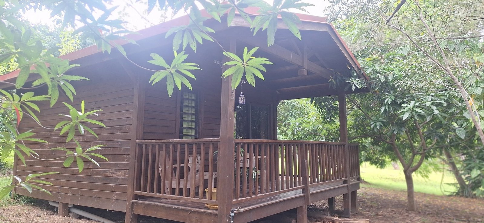 Bungalow en bois avec sa terrasse couverte