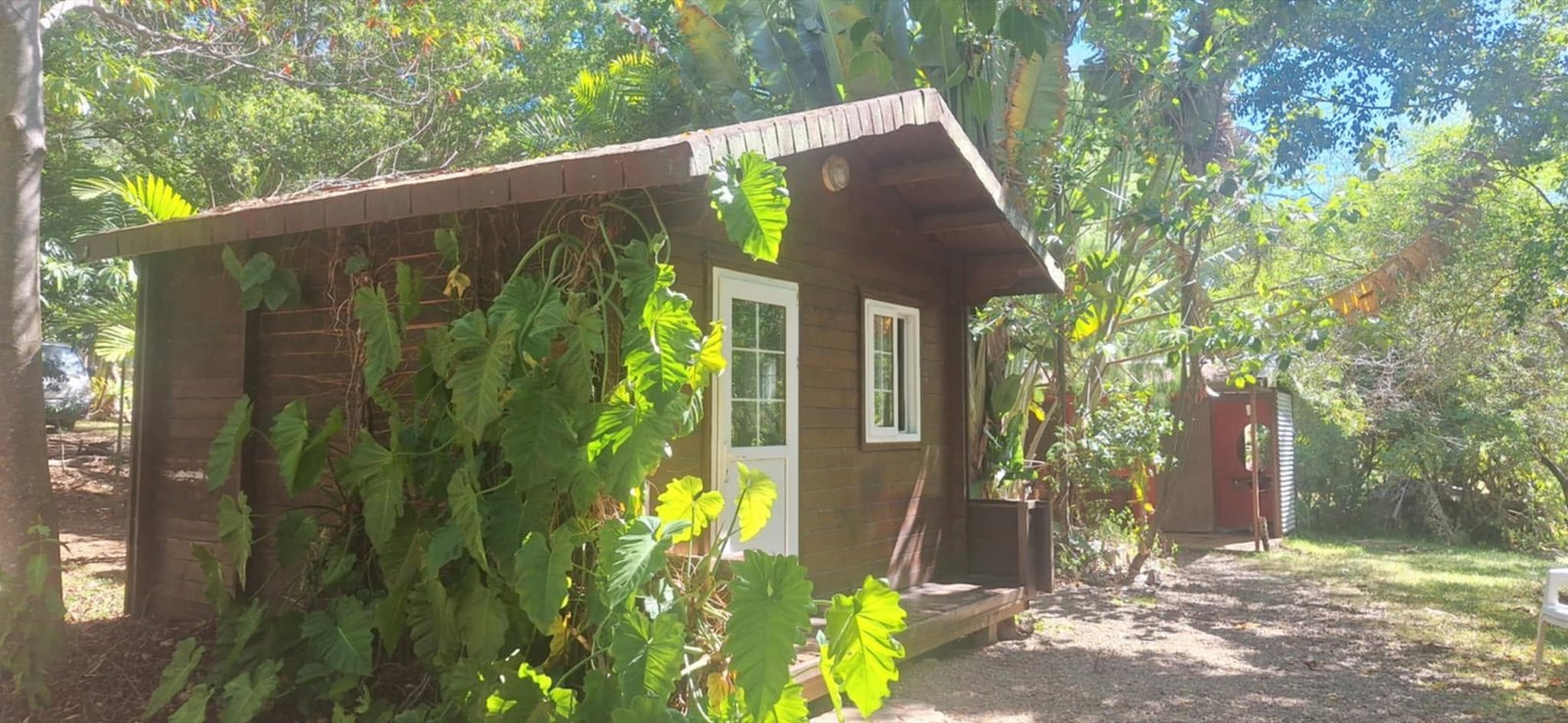 Bungalow entouré d'une végétation tropicale
